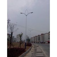 供应广顺牌LED景观路灯（GS-LD081500)