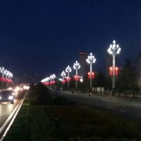 供应广顺牌杜鹃花型LED路灯（GS-YND1500)