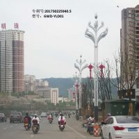 长期批发广顺牌进口光源道路照明灯GWD-LD0900