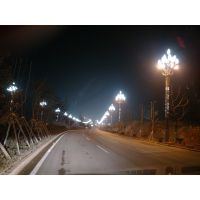 批发广顺牌LED道路照明杜鹃花灯GWD-LD01500