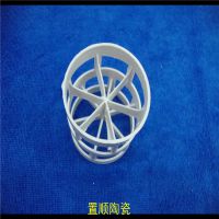 供应塑料海尔环 聚丙烯海尔环 塑料塔填料 散堆填料
