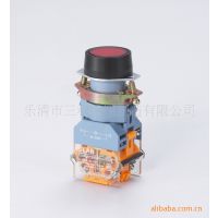 厂家直销LA39-11DZS带灯自锁按钮开关