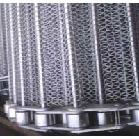 清洗网带、双龙网带(图)、清洗网带杀菌机专用