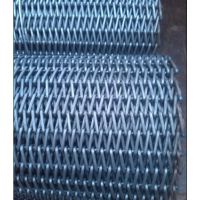 食品网带工业精湛、招远食品网带、双龙支轴网带