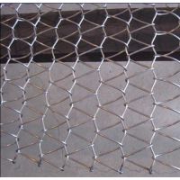 双龙非标链条(已认证)|济宁食品网带|食品网带耐腐蚀