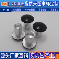 烤漆铆钉样品图片可根据提供的图纸或样品加工定制