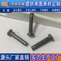 应带孔铆钉 钻孔铆钉 非标带孔铆钉定制 圆头带孔铝铆钉 图片