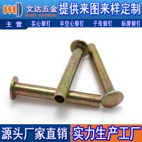 扁圆头半空心彩锌铆钉 扁圆头五彩铆钉 环保电镀铆钉 铁铆钉图片