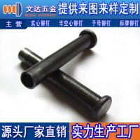 【深圳文达】供应镀黑镍黄铜铆钉 可定做直径1~6MM，长度2~60MM