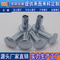 半圆头半空心铁镀篮锌铆钉可根据提供的图纸或样品加工定制