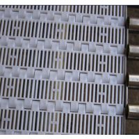 双龙非标链条(已认证),淄博食品网带,食品网带耐高温