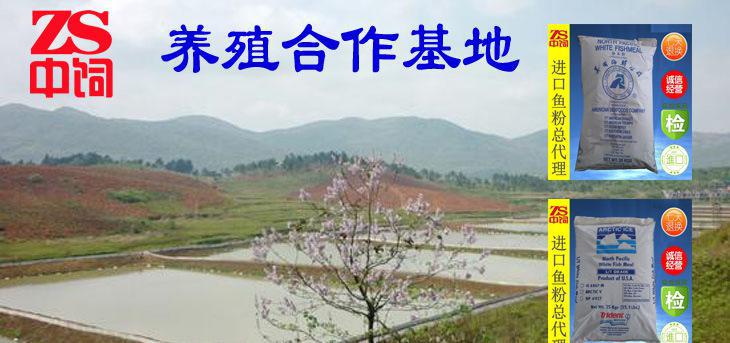 20150910生鱼养殖鱼粉石棉县进口鱼粉找中饲
