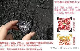 东莞优质煤炭厂商_煤炭供应商