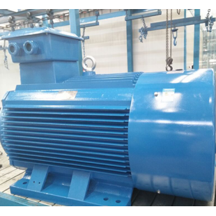 翔能泰速 E YKX3 132KW 三相异步电动机 2极 315M-2