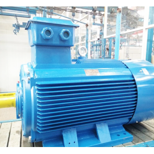 翔能泰速 E YKX3 132KW 三相异步电动机 2极 315M-2
