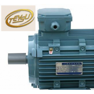 翔能泰速  E YX3 45KW 三相异步电动机 2级 225M-2